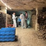 Khám phá hầm mộ chứa hàng triệu bộ xương dưới lòng Paris