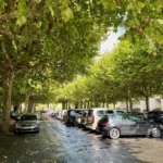 Tham vọng ‘phủ xanh’ các bãi đỗ xe ở thủ đô nước Pháp