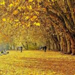 Khám phá vẻ đẹp ngất ngây của mùa thu nước Đức