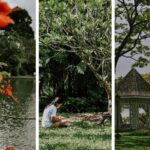 7 trải nghiệm ấn tượng không thể bỏ lỡ khi đi du lịch Singapore