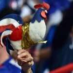 Gà trống Gô-loa – Biểu tượng quyền uy và tự hào của nước Pháp