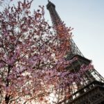 Top 20 + Các địa điểm du lịch hấp dẫn nhất nước Pháp