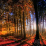 15 ĐIỂM ĐẾN THU HÚT DU KHÁCH NHẤT TẠI ĐỨC