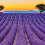 4 trải nghiệm miền Nam nước Pháp mùa hè