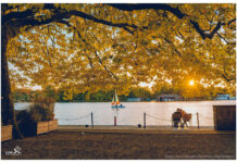 Mùa vàng lộng lẫy ở đất nước của những tòa lâu đài như trong cổ tích